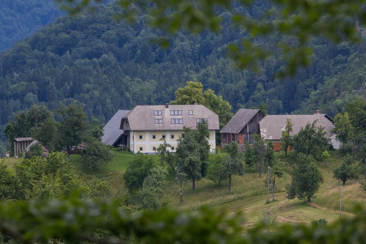 Apartment Krnicar Zgornje Gorje Dış mekan fotoğraf