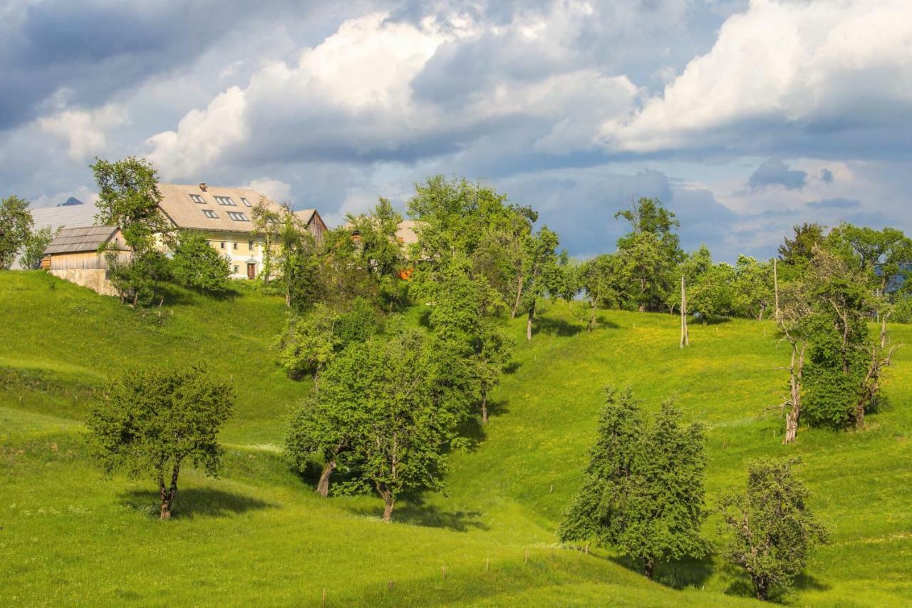 Apartment Krnicar Zgornje Gorje Dış mekan fotoğraf