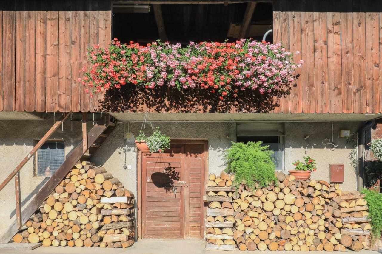 Apartment Krnicar Zgornje Gorje Dış mekan fotoğraf