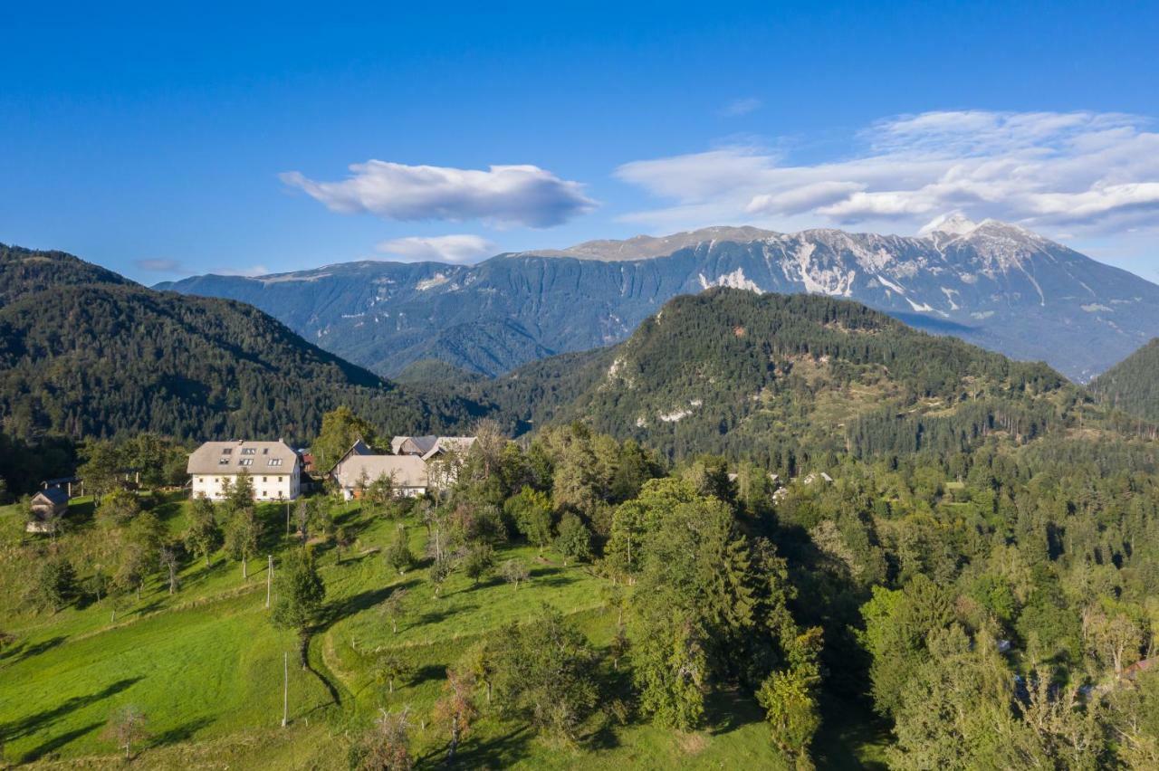 Apartment Krnicar Zgornje Gorje Dış mekan fotoğraf